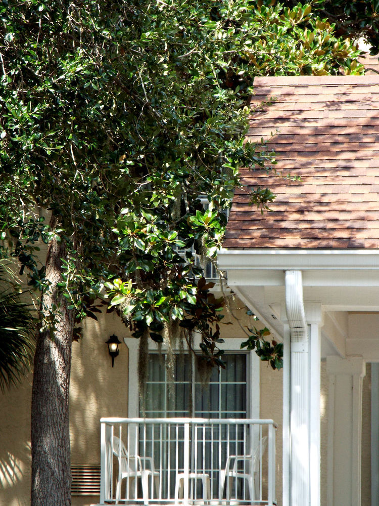 Palmera Inn And Suites Hilton Head Island Exterior photo